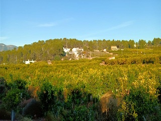 Quebranta 8
