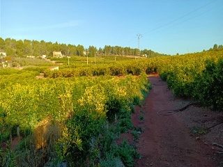Quebranta 10