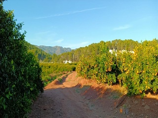 Quebranta 11