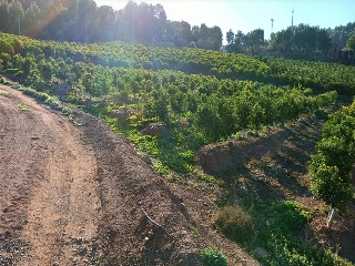 Quebranta 12
