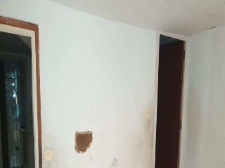 Campana 22