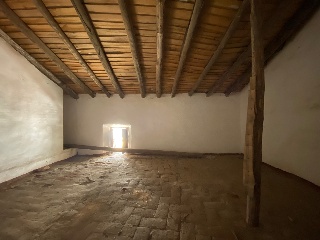 Toledillo 11