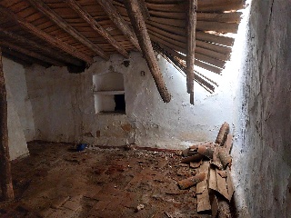 Toledillo 13
