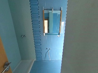  83