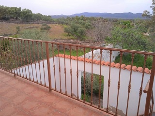 Pinar Del 13
