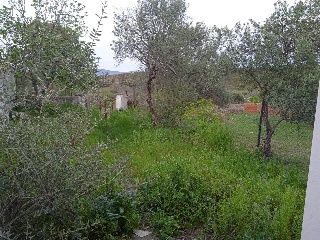 Pinar Del 20