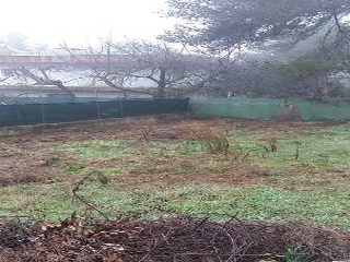 Rimbalda La 26