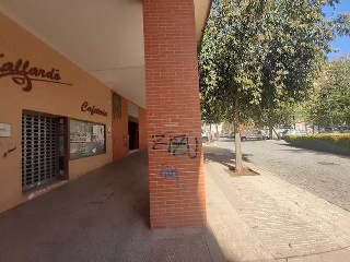 Diego Sánchez De Badajoz 4