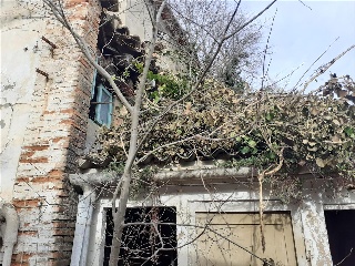 San Antonio 6