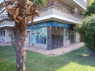 Ejercito 15