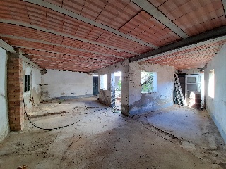 Bartolome Gomez 11