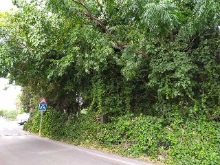 Carril Torre Ibañez 2