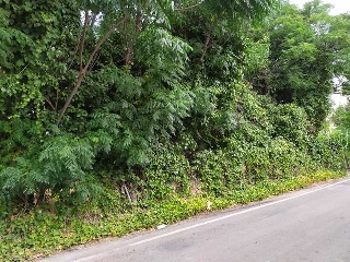 Carril Torre Ibañez 10