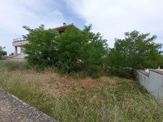Les Oliveres 18