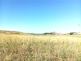 La Huelga 2