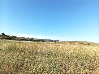 La Huelga 3
