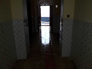 Constitucion 3
