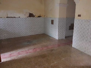 Constitucion 5