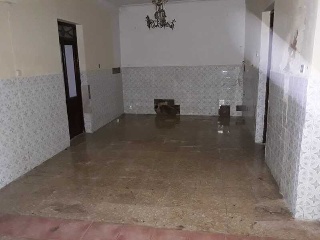 Constitucion 7
