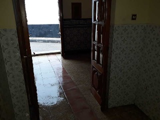 Constitucion 8