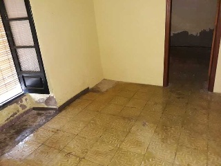 Constitucion 10
