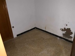 Constitucion 12