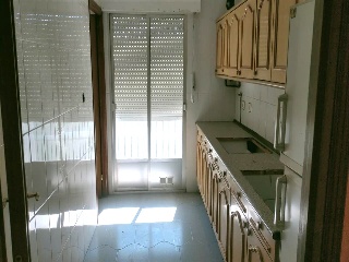 Carbonera 5
