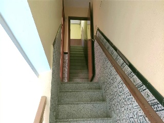 Carbonera 17