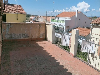 Carbonera 20