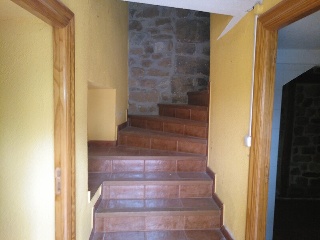 Vergara 13