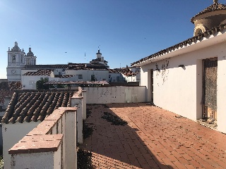 Cura 20