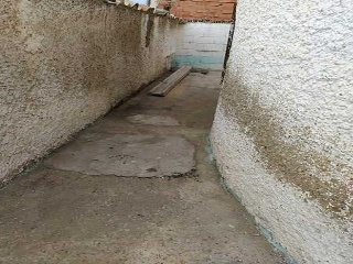 Molino 7