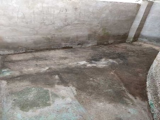 Molino 15