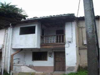 Pando 4