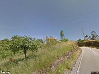 Pando 8
