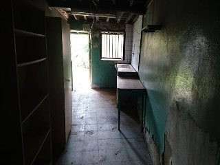 Pando 13