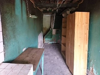 Pando 14
