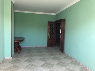 Nava 19