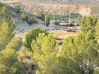 Lorca 6