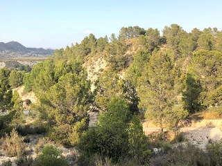 Lorca 7