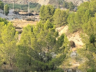 Lorca 8