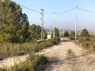 Lorca 9