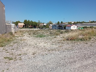 Algezares 2