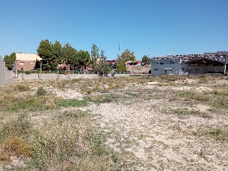 Algezares 3