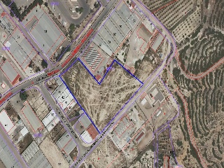 Algezares 10
