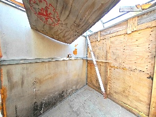  31