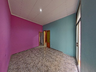 Avinyo 15