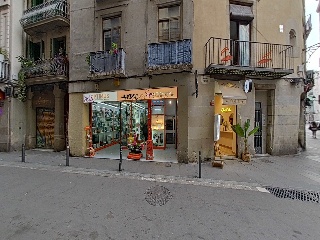 Avinyo 28