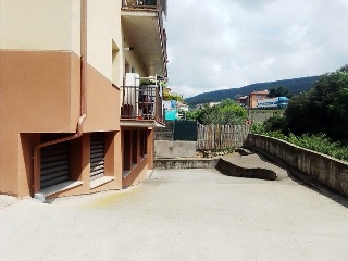 Nou 5