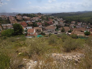 Jacint 2
